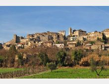 Vista panoramica di un borgo medievale su una collina, con case in pietra addossate tra loro e un campanile che svetta al centro. In primo piano si vedono campi verdi e vegetazione, con un pendio alberato che sale verso il centro abitato.