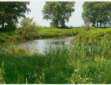 52170-photo-riservalitoraleromanoteveremeandrofiumemorto2-d0-jpgjpg