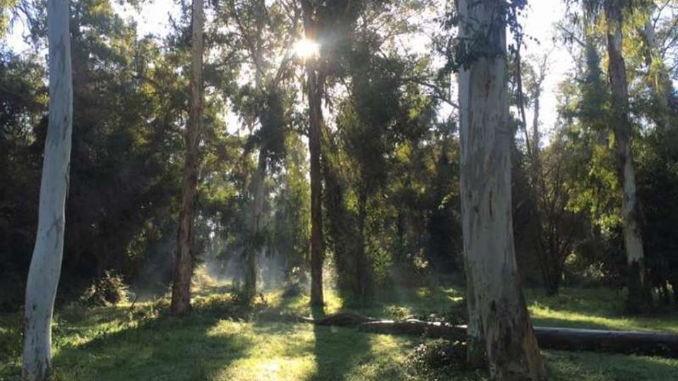 51792-photo-parco-cellulosa-roma-jpgjpg