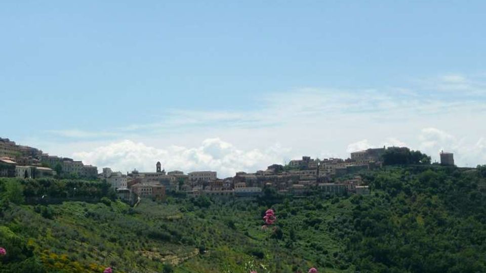 Veduta panoramica di una cittadina su una collina, con edifici compatti e una torre tra le case. In primo piano si estende una valle verde e boscosa con vegetazione fitta e fiori rosa sotto un cielo azzurro.