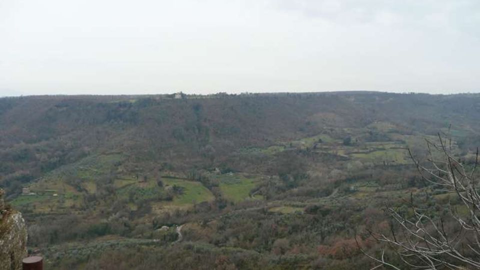 Veduta panoramica di una valle collinare con boschi e campi verdi a mosaico, attraversata da una strada sinuosa. Sullo sfondo si vede una dorsale boscosa sotto un cielo nuvoloso, con rami spogli in primo piano.