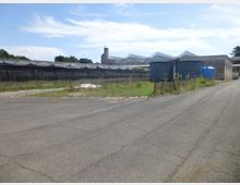 Area industriale con strada asfaltata in primo piano e, sullo sfondo, capannoni e serre con coperture metalliche. A destra si vedono grandi serbatoi cilindrici e un edificio in muratura, con vegetazione incolta lungo una recinzione.