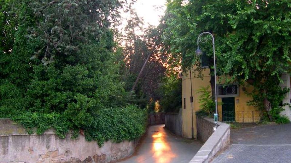 Stretta stradina asfaltata tra muri bassi e fitta vegetazione, che scende verso un passaggio alberato illuminato dalla luce del tramonto. A destra si vede un edificio giallo con ringhiera e un lampione ad arco lungo il bordo della strada.