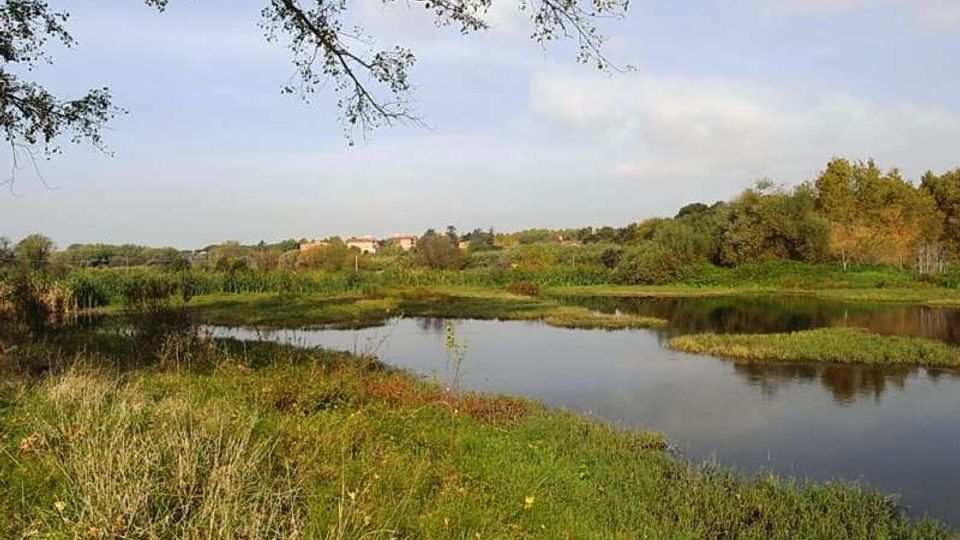 561-57f5b5b043f7c56fc273e655e54bae30jpg