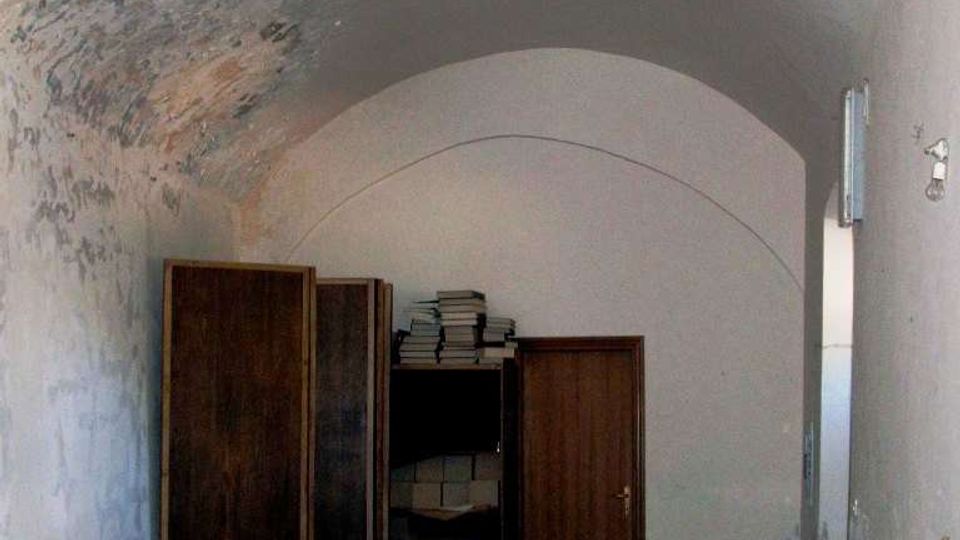 919-5c5448b943e0220ee785a45307938de5jpg