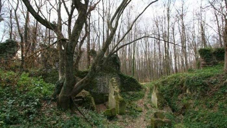 55912-photo-201342-orig-jpgjpg