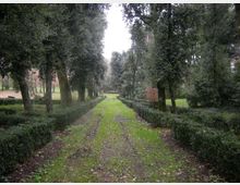 290-e38f5832363ed7bb4a9552e229af7c84jpg