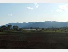 931-654504b88110011167fd58c83d6425c8jpg