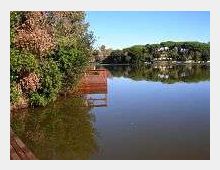 108-82bbf40a5537cc167d5d9b49e1faa65bjpg