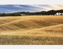 52029-photo-riserva-naturale-tenuta-dei-massimi-jpgjpg