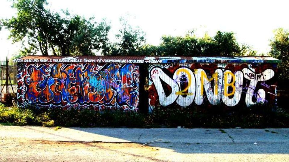 Muro lungo e basso in un’area esterna con vegetazione sullo sfondo, completamente ricoperto da graffiti colorati e grandi scritte in stile street art. Davanti si vede una striscia di asfalto e marciapiede, in un contesto urbano periferico.