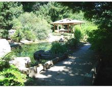 Sentiero in un giardino paesaggistico con uno stagno bordato da rocce e vegetazione fitta, circondato da alberi. Sullo sfondo si vede un padiglione in legno con tetto a falde e un piccolo elemento decorativo in pietra vicino all’acqua.