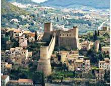 50981-photo-p1300515rb-jpgjpg