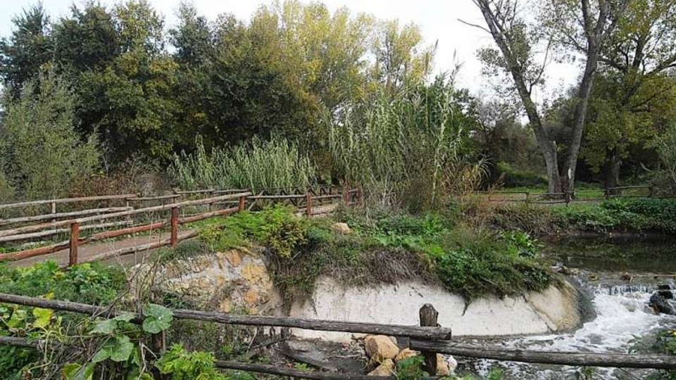 560-fedcc717f1870097754f62e0dae3f58djpg