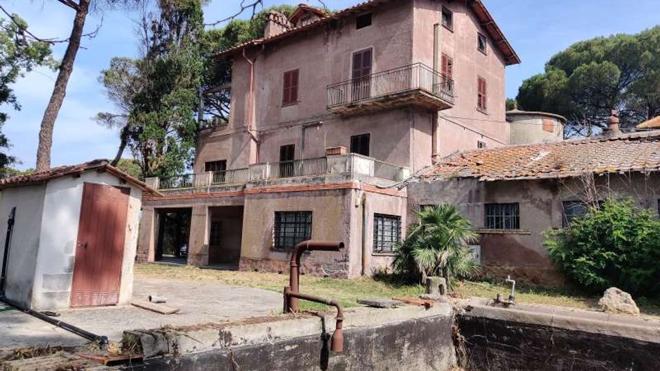 58024-photo-img-20210616-095205-jpgjpg