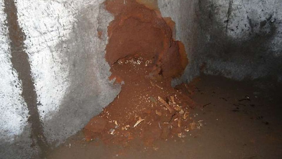 541-0088f9ee0cce0693ddb7a351bbbd264cjpg