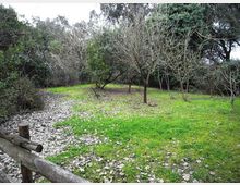 612-99c9b03cb21e608d4e4a910366f7ea3djpg