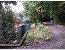 Strada sterrata in un’area boschiva con alberi fitti e sottobosco, affiancata da un recinto metallico che delimita un edificio basso con tetto spiovente. La carreggiata segue una leggera curva e prosegue verso una zona ombreggiata tra la vegetazione.