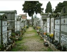 Viale centrale di un cimitero con un sentiero in ghiaia ed erba, fiancheggiato da tombe a loculi in muratura con lapidi e vasi di fiori. Sullo sfondo si vedono alberi alti e altre strutture funerarie lungo il percorso.