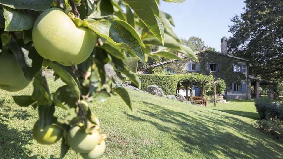 58519-photo-jac-3154-jpgjpg