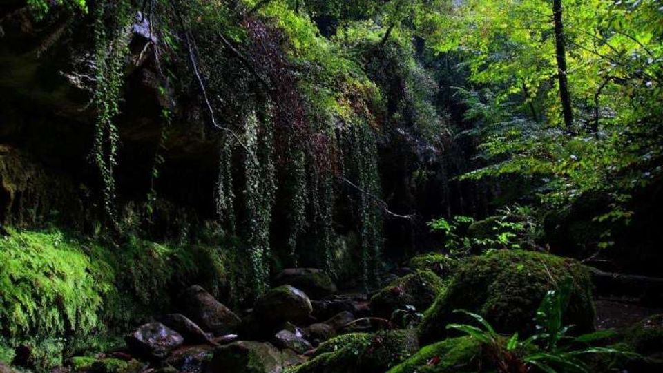 51897-photo-35-sorgente-del-cremera-4-1024x675-jpgjpg