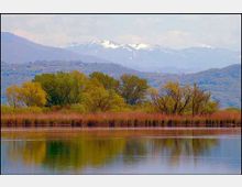 51987-photo-rip1-jpgjpg