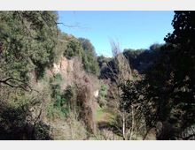 52532-photo-monumento-nturale-parco-della-forre-4-jpgjpg