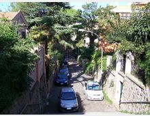 58273-photo-5015751-jpgjpg