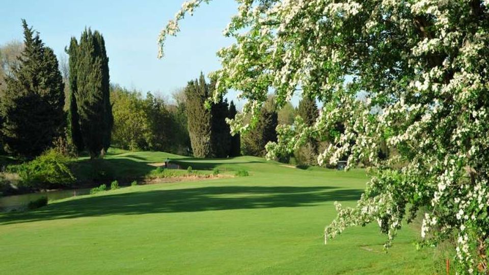 Ampio prato verde curato, simile a un campo da golf, con lievi ondulazioni e un piccolo corso d’acqua sul lato sinistro. Sullo sfondo ci sono alberi alti e cespugli, mentre in primo piano a destra un albero in fiore con fiori bianchi incornicia la scena.