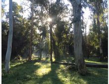 51792-photo-parco-cellulosa-roma-jpgjpg