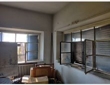 58088-photo-img-20210311-121300-jpgjpg