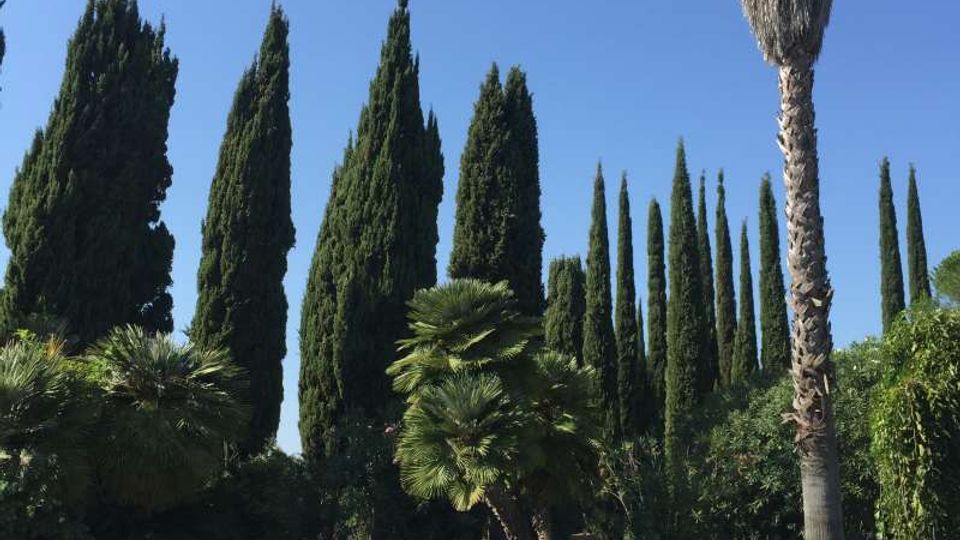 Piscina all’aperto con acqua azzurra e bordo chiaro, affiancata da una pedana in terracotta e una scaletta metallica. Sullo sfondo un giardino con cipressi alti e palme sotto un cielo sereno.