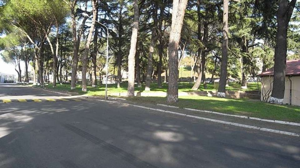 Strada asfaltata che costeggia un’area verde con numerosi alberi alti e pini, con prati e lampioni lungo il bordo. Sul lato destro si vede un piccolo edificio basso con tetto rosso, immerso nel parco.