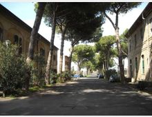 950-557cebea7a03e093500196e5b46916fcjpg