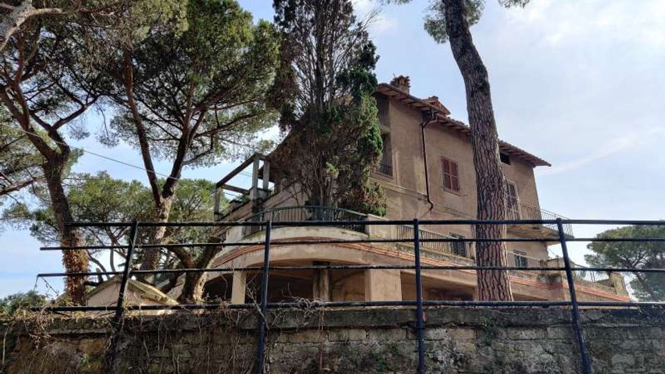 58023-photo-img-20210616-095033-jpgjpg