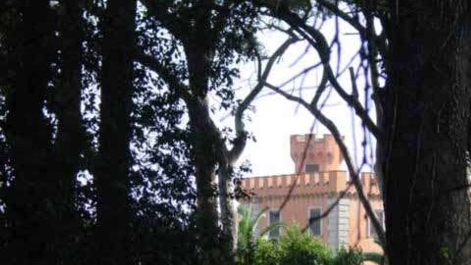 Vista attraverso alberi e vegetazione fitta di un parco, con in lontananza un edificio in mattoni rosati in stile castellano, con merlature e una torre. In primo piano si vedono tronchi alti e rami che incorniciano la costruzione su un prato.