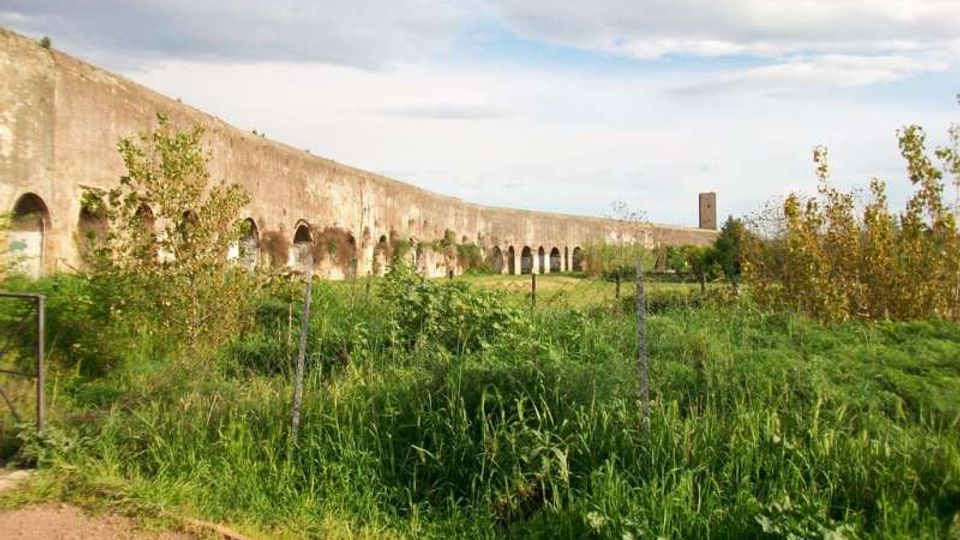 51923-photo-21151231-jpgjpg