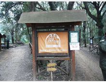 612-02484bf40841a7bbbdf659508ff81532jpg