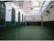 Palestra scolastica coperta con campo da basket verde segnato da linee gialle, canestro a parete sul fondo e una rete appesa al soffitto. Grandi finestre ad arco lungo la parete sinistra e soffitto alto con travi bianche e lucernari.