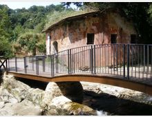 51876-photo-37634913-jpgjpg