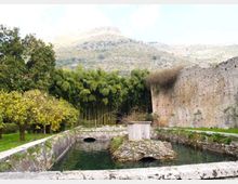 987-f3b0ad8f6ef955b06d04d3acb7379a3fjpg