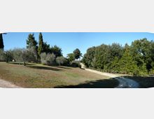 219-c1df397bf0e05874eaab83208a46ee7fjpg