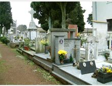 Viale di un cimitero con tombe in marmo e granito disposte in fila, alcune con croci, lapidi e vasi di fiori. Alti cipressi e altri alberi costeggiano il percorso, con cappelle e monumenti funerari sullo sfondo.