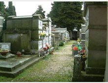 Viale di un cimitero con sentiero in ghiaia, fiancheggiato da tombe in muratura e loculi sovrapposti, con lapidi e vasi di fiori. Sullo sfondo si vedono grandi alberi e altre strutture funerarie lungo il percorso.