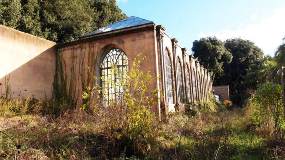 Serra abbandonata in muratura con lunga fila di grandi finestre ad arco e tetto in vetro, circondata da vegetazione incolta. Sullo sfondo si vedono alberi fitti e un muro perimetrale sotto un cielo sereno.