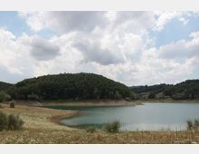 49508-photo-13-jpgjpg