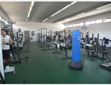 Ampia sala palestra con pavimento verde e soffitto alto illuminato da lunghe luci al neon, con grandi finestre lungo la parete destra. Sono presenti varie attrezzature da allenamento come panche, rastrelliere, macchine per pesi e un sacco da boxe blu al centro.