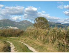 931-80e0804152a4f7b128b380de62edb07ajpg