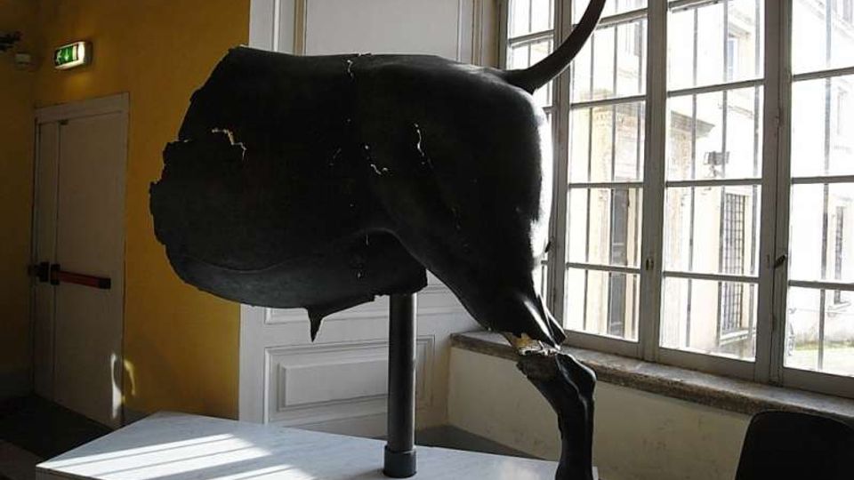 Interno di una sala espositiva con grandi finestre a riquadri che illuminano una scultura nera su un tavolo bianco. Sulla sinistra si vedono una parete gialla e una porta con segnaletica di uscita.