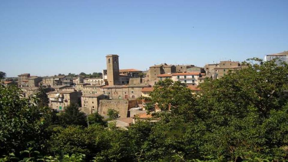 Vista panoramica di un borgo collinare con case in pietra dai tetti in coppi e una torre campanaria quadrata che svetta al centro. In primo piano ci sono alberi e vegetazione fitta, con cielo limpido sullo sfondo.